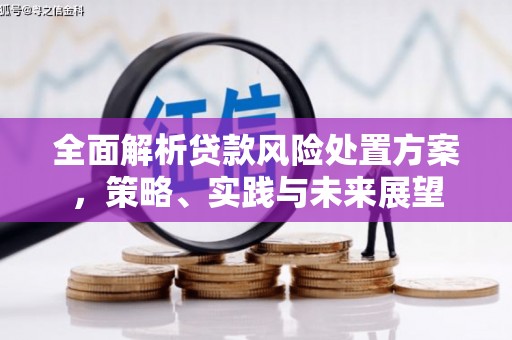 民雄全面解析贷款风险处置方案，策略、实践与未来展望