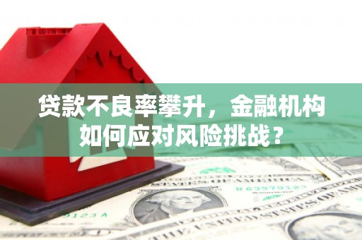 民雄贷款不良率攀升，金融机构如何应对风险挑战？
