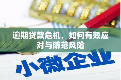 民雄逾期贷款危机，如何有效应对与防范风险