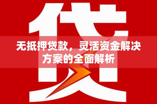 民雄无抵押贷款，灵活资金解决方案的全面解析