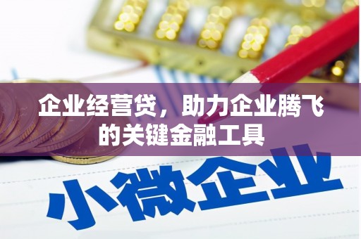 民雄企业经营贷，助力企业腾飞的关键金融工具