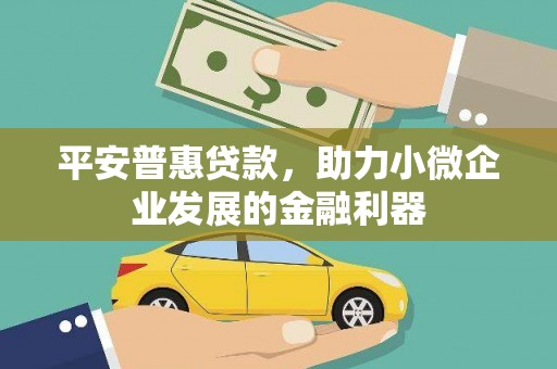 民雄平安普惠贷款，助力小微企业发展的金融利器
