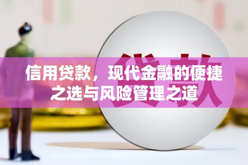民雄信用贷款，现代金融的便捷之选与风险管理之道