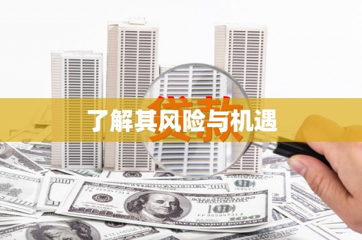 民雄了解其风险与机遇