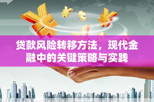 民雄贷款风险转移方法，现代金融中的关键策略与实践