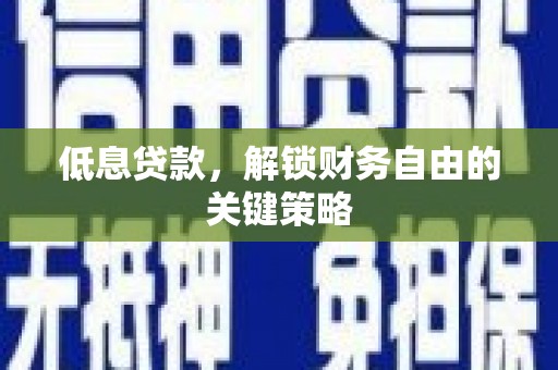 民雄低息贷款，解锁财务自由的关键策略