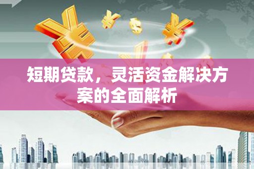 民雄短期贷款，灵活资金解决方案的全面解析