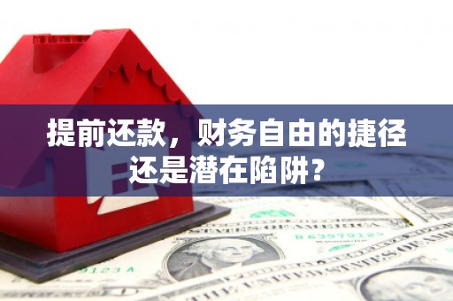 民雄提前还款，财务自由的捷径还是潜在陷阱？