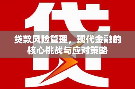 民雄贷款风险管理，现代金融的核心挑战与应对策略