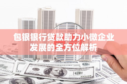 民雄包银银行贷款助力小微企业发展的全方位解析