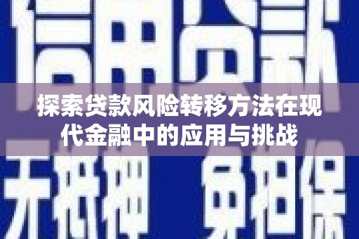 民雄探索贷款风险转移方法在现代金融中的应用与挑战