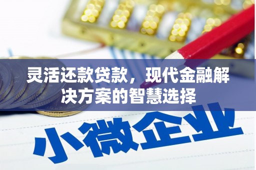 民雄灵活还款贷款，现代金融解决方案的智慧选择