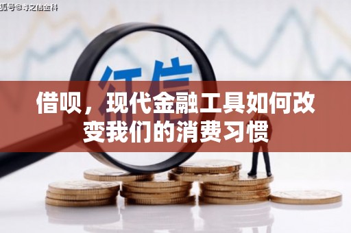 民雄借呗，现代金融工具如何改变我们的消费习惯