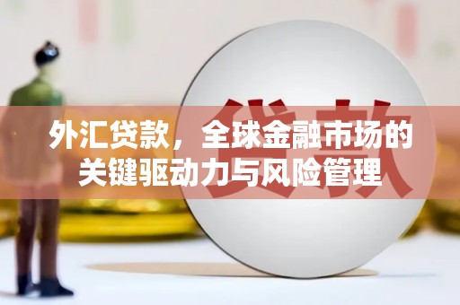 民雄外汇贷款，全球金融市场的关键驱动力与风险管理