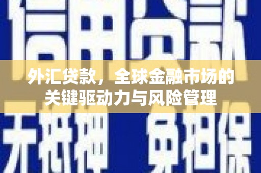 民雄外汇贷款，全球金融市场的关键驱动力与风险管理