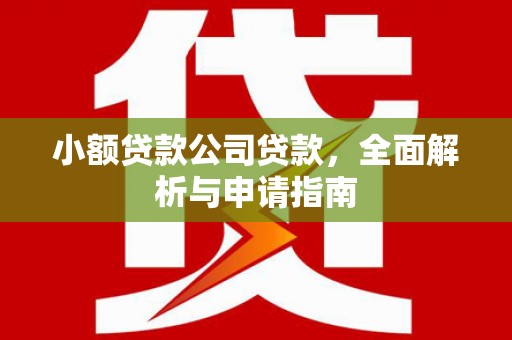 民雄小额贷款公司贷款，全面解析与申请指南