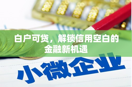 民雄白户可贷，解锁信用空白的金融新机遇