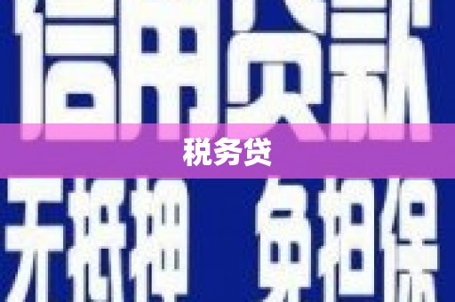 民雄税务贷
