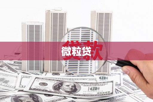 民雄微粒贷