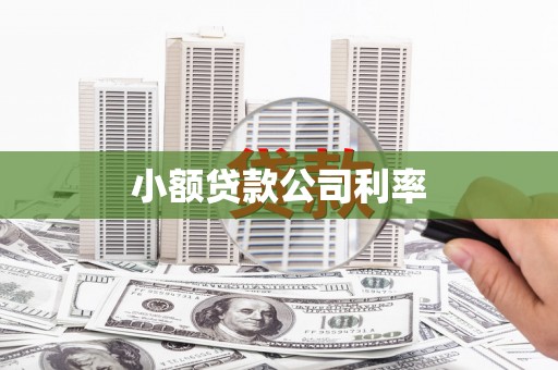 民雄小额贷款公司利率