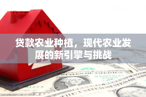 民雄贷款农业种植，现代农业发展的新引擎与挑战