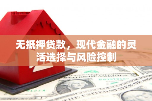 民雄无抵押贷款，现代金融的灵活选择与风险控制