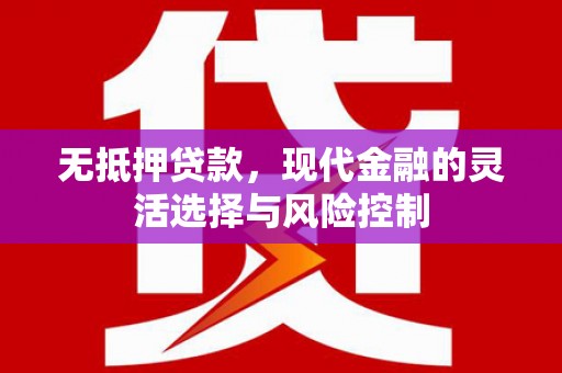 民雄无抵押贷款，现代金融的灵活选择与风险控制