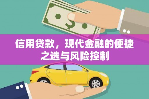 民雄信用贷款，现代金融的便捷之选与风险控制