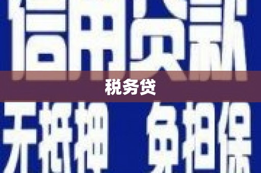 民雄税务贷