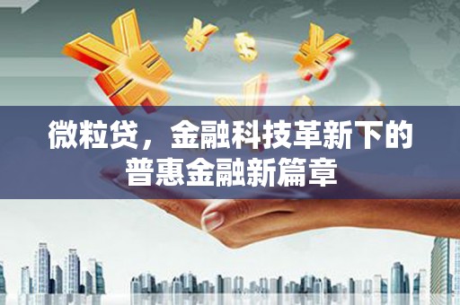 民雄微粒贷，金融科技革新下的普惠金融新篇章