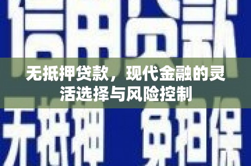 民雄无抵押贷款，现代金融的灵活选择与风险控制