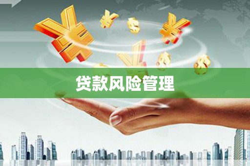 民雄贷款风险管理