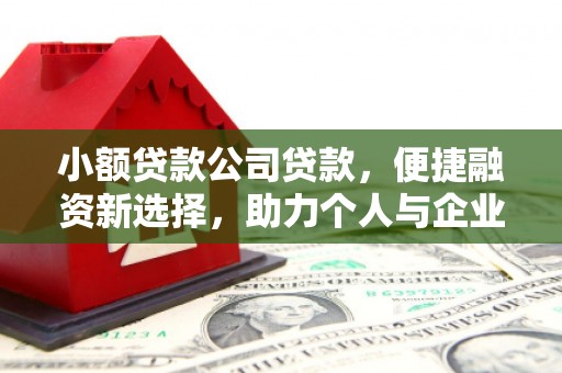 民雄小额贷款公司贷款，便捷融资新选择，助力个人与企业成长