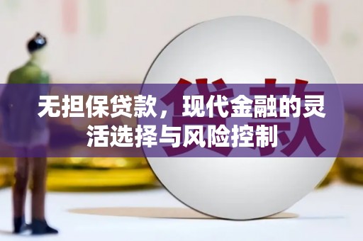 民雄无担保贷款，现代金融的灵活选择与风险控制