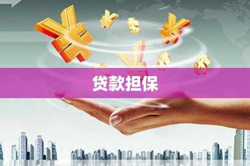 民雄贷款担保