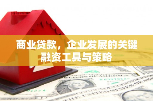 民雄商业贷款，企业发展的关键融资工具与策略