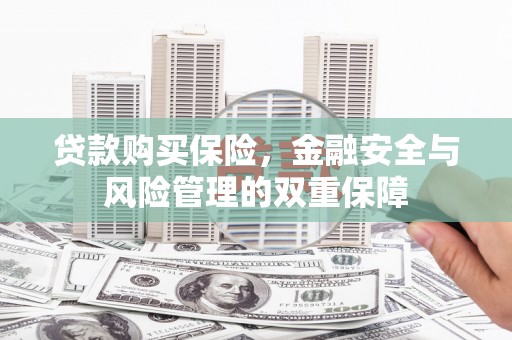 民雄贷款购买保险，金融安全与风险管理的双重保障