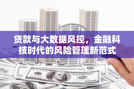 民雄贷款与大数据风控，金融科技时代的风险管理新范式