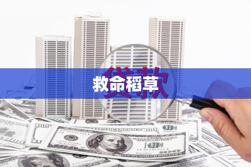 民雄救命稻草