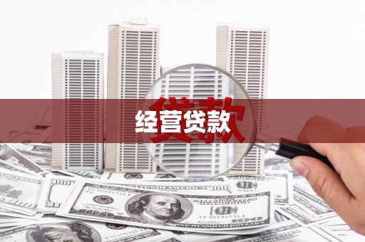 民雄经营贷款