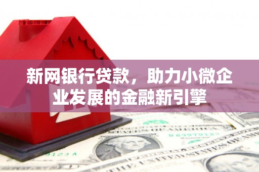 民雄新网银行贷款，助力小微企业发展的金融新引擎