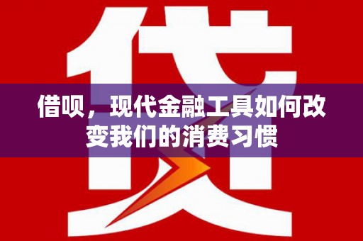 民雄借呗，现代金融工具如何改变我们的消费习惯
