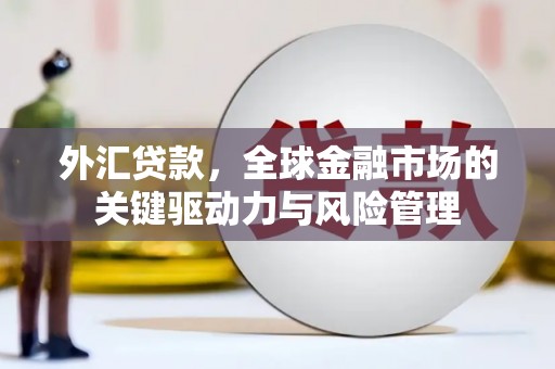 民雄外汇贷款，全球金融市场的关键驱动力与风险管理