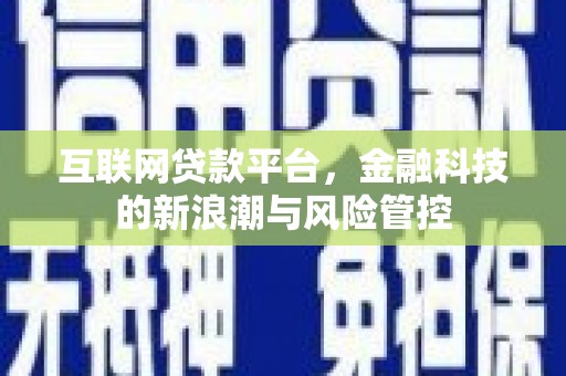 民雄互联网贷款平台，金融科技的新浪潮与风险管控