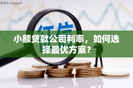 民雄小额贷款公司利率，如何选择最优方案？