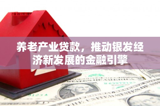 民雄养老产业贷款，推动银发经济新发展的金融引擎