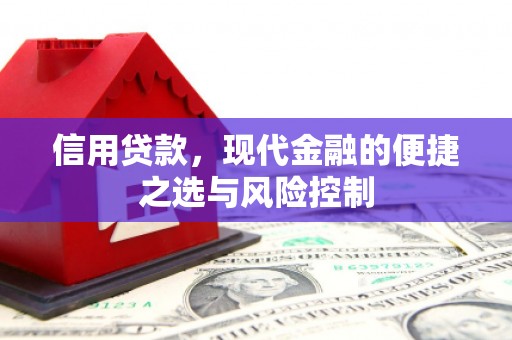 民雄信用贷款，现代金融的便捷之选与风险控制