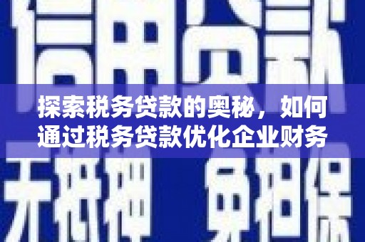 民雄探索税务贷款的奥秘，如何通过税务贷款优化企业财务