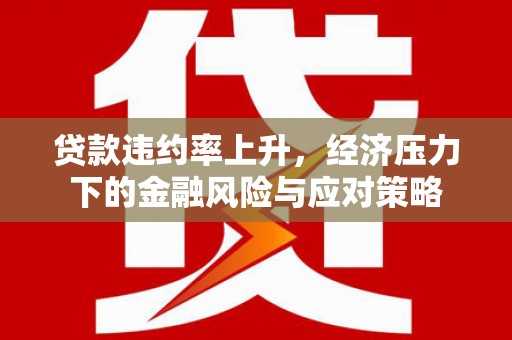 民雄贷款违约率上升，经济压力下的金融风险与应对策略