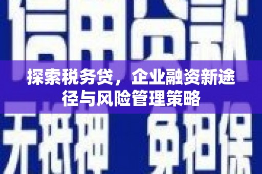 民雄探索税务贷，企业融资新途径与风险管理策略